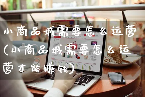 小商品城需要怎么运营(小商品城需要怎么运营才能赚钱)_https://www.czttao.com_闲鱼电商_第1张