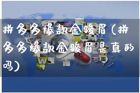 拼多多爆款金骏眉(拼多多爆款金骏眉是真的吗)_https://www.czttao.com_拼多多电商_第1张