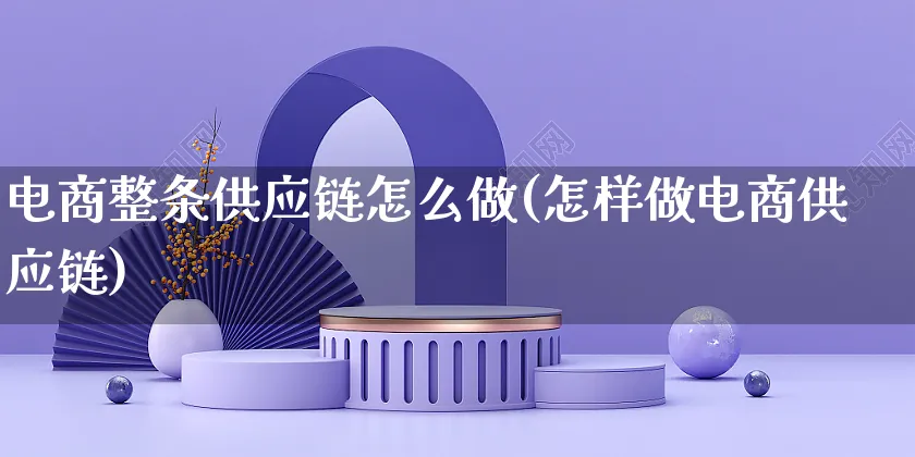 电商整条供应链怎么做(怎样做电商供应链)_https://www.czttao.com_店铺规则_第1张