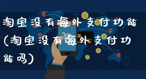 淘宝没有海外支付功能(淘宝没有海外支付功能吗)_https://www.czttao.com_亚马逊电商_第1张