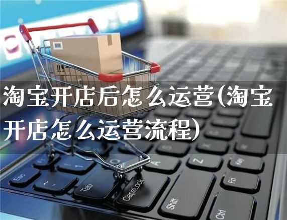 淘宝开店后怎么运营(淘宝开店怎么运营流程)_https://www.czttao.com_京东电商_第1张