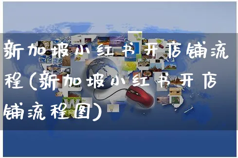 新加坡小红书开店铺流程(新加坡小红书开店铺流程图)_https://www.czttao.com_小红书_第1张