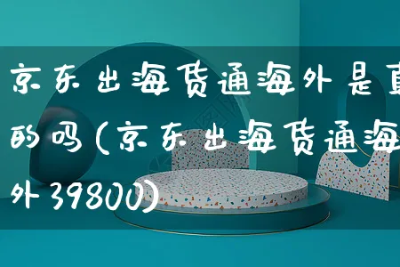 京东出海货通海外是真的吗(京东出海货通海外39800)_https://www.czttao.com_亚马逊电商_第1张