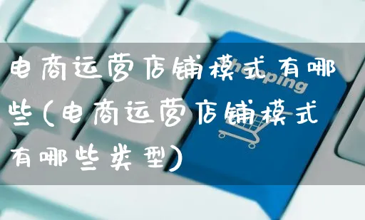 电商运营店铺模式有哪些(电商运营店铺模式有哪些类型)_https://www.czttao.com_开店技巧_第1张