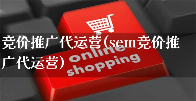 竞价推广代运营(sem竞价推广代运营)_https://www.czttao.com_开店技巧_第1张