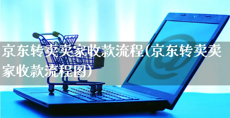 京东转卖卖家收款流程(京东转卖卖家收款流程图)_https://www.czttao.com_京东电商_第1张