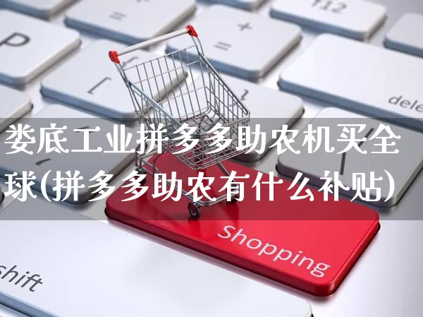 娄底工业拼多多助农机买全球(拼多多助农有什么补贴)_https://www.czttao.com_店铺装修_第1张