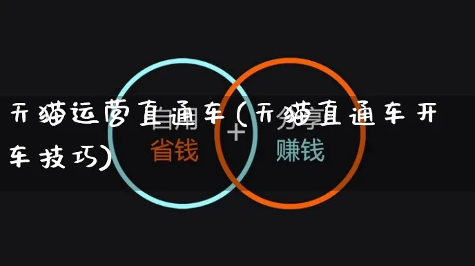 天猫运营直通车(天猫直通车开车技巧)_https://www.czttao.com_拼多多电商_第1张