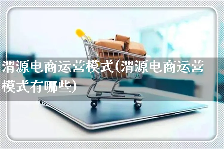 渭源电商运营模式(渭源电商运营模式有哪些)_https://www.czttao.com_店铺装修_第1张