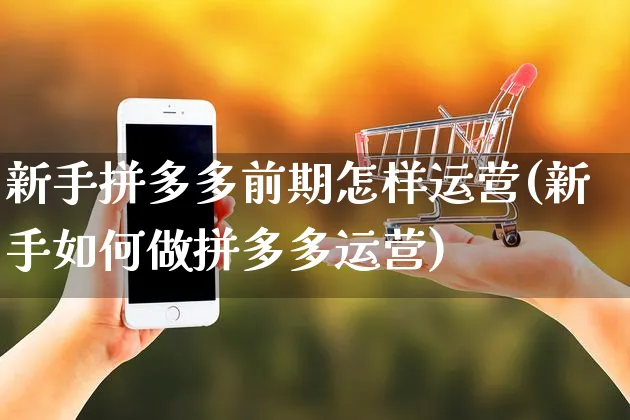 新手拼多多前期怎样运营(新手如何做拼多多运营)_https://www.czttao.com_拼多多电商_第1张