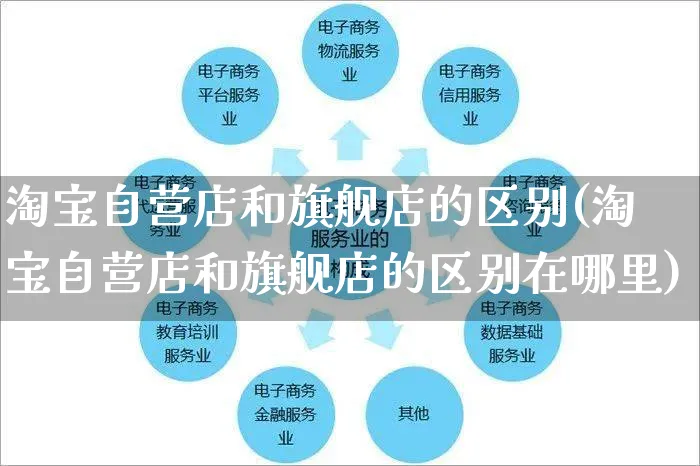 淘宝自营店和旗舰店的区别(淘宝自营店和旗舰店的区别在哪里)_https://www.czttao.com_视频/直播带货_第1张