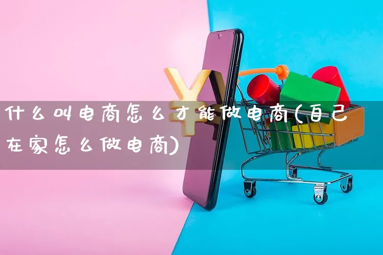 什么叫电商怎么才能做电商(自己在家怎么做电商)_https://www.czttao.com_京东电商_第1张
