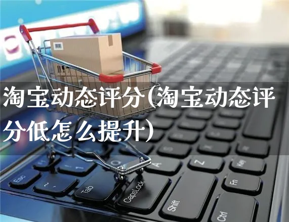 淘宝动态评分(淘宝动态评分低怎么提升)_https://www.czttao.com_拼多多电商_第1张