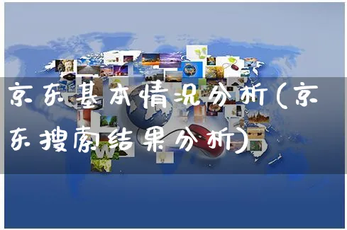 京东基本情况分析(京东搜索结果分析)_https://www.czttao.com_京东电商_第1张