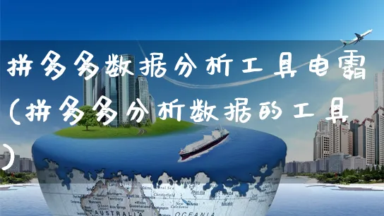 拼多多数据分析工具电霸(拼多多分析数据的工具)_https://www.czttao.com_开店技巧_第1张