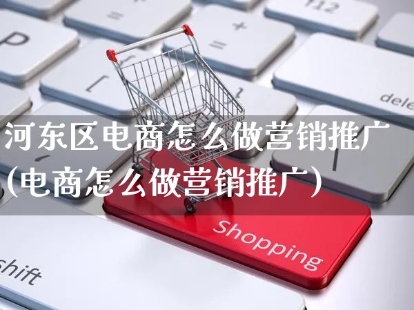 河东区电商怎么做营销推广(电商怎么做营销推广)_https://www.czttao.com_亚马逊电商_第1张