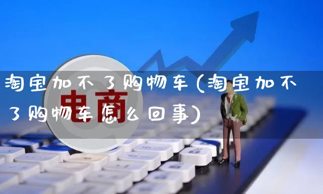 淘宝加不了购物车(淘宝加不了购物车怎么回事)_https://www.czttao.com_亚马逊电商_第1张
