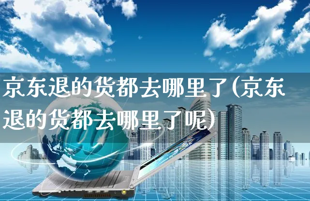 京东退的货都去哪里了(京东退的货都去哪里了呢)_https://www.czttao.com_京东电商_第1张